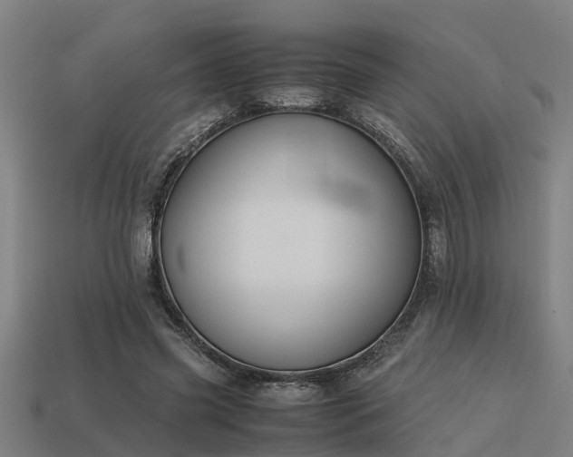 X0000113590541200909251138