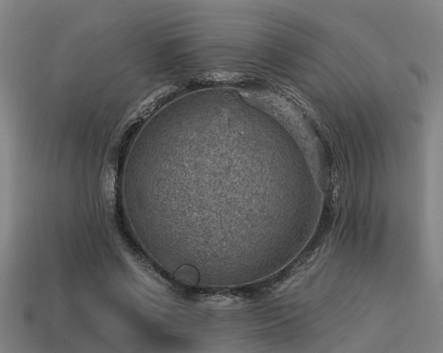 X0000113590542200909251138