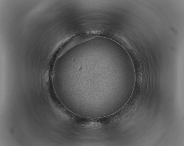 X0000113590543200909251138