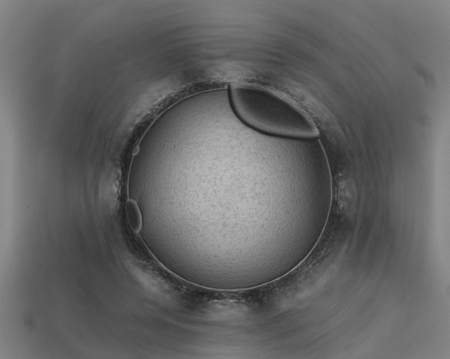 X0000113590544200909251138