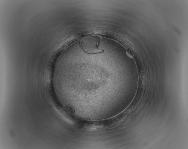 X0000113590546200909251138