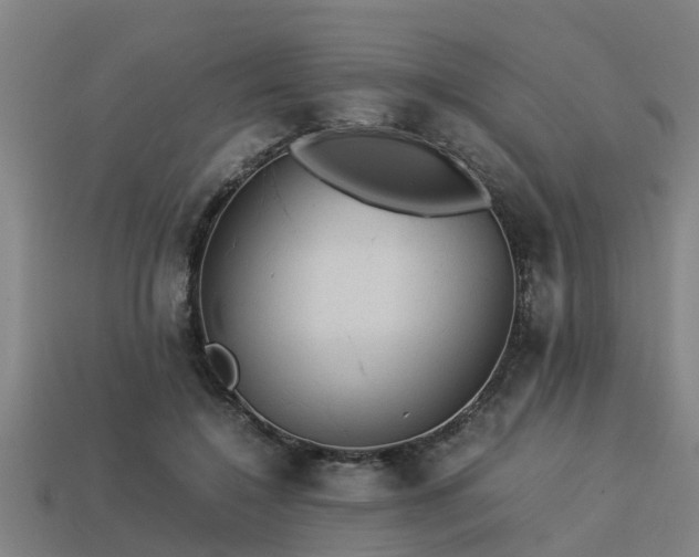 X0000113590548200909251138