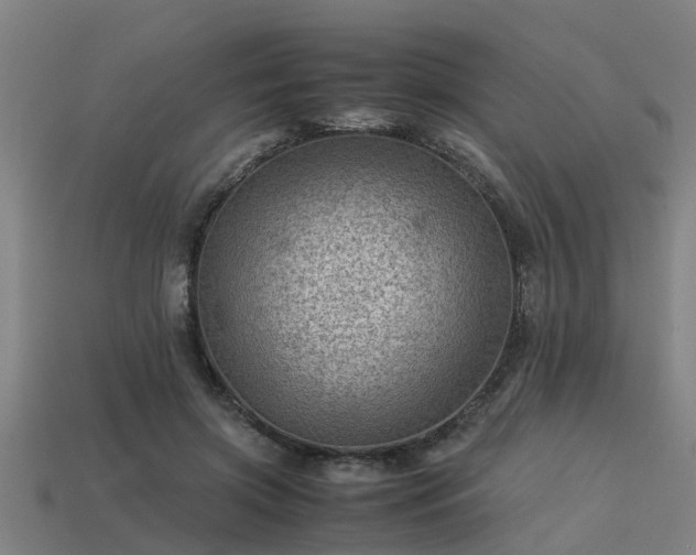 X0000113590549200909251138