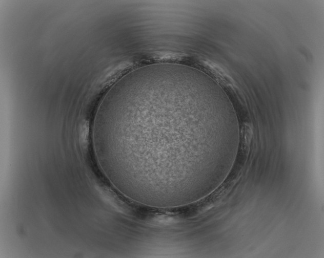 X0000113590550200909251138