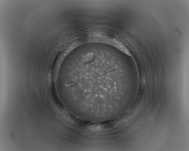 X0000113590551200909251138