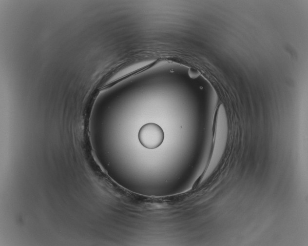 X0000113590552200909251138