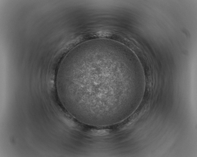 X0000113590553200909251138