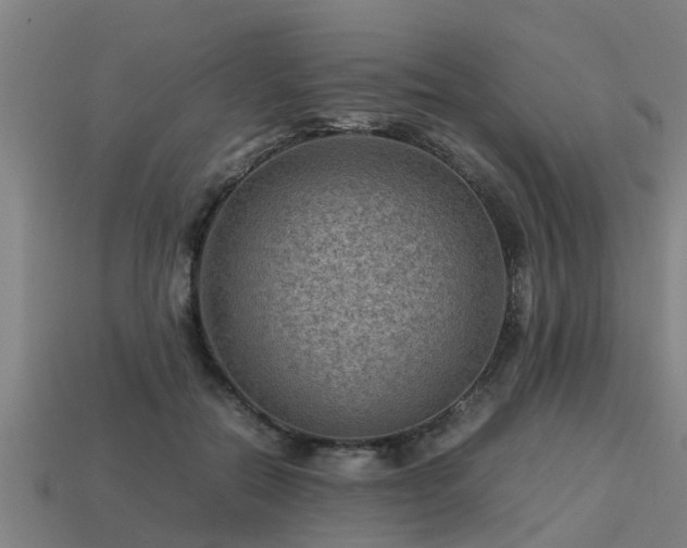 X0000113590554200909251138