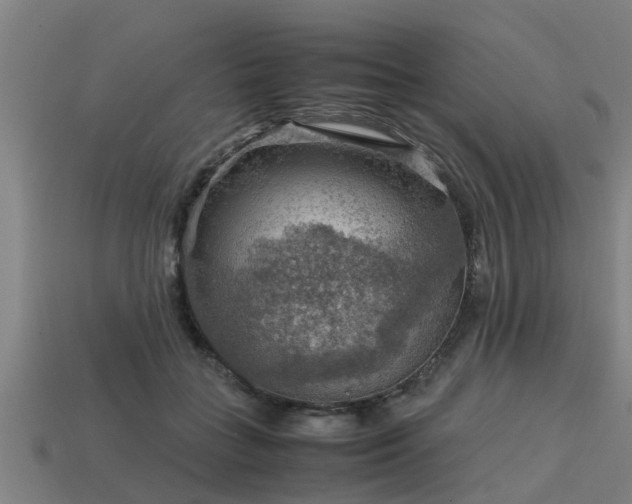 X0000113590555200909251138