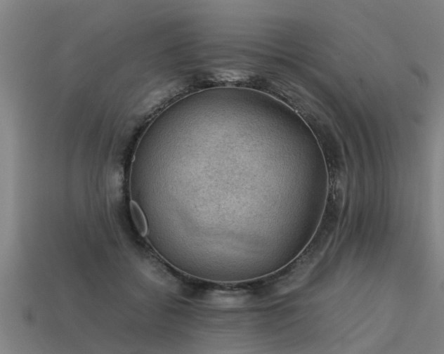 X0000113590556200909251138