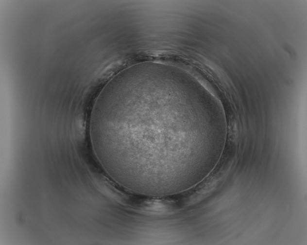 X0000113590558200909251138