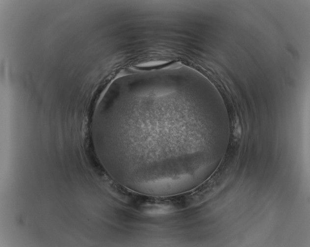 X0000113590559200909251138