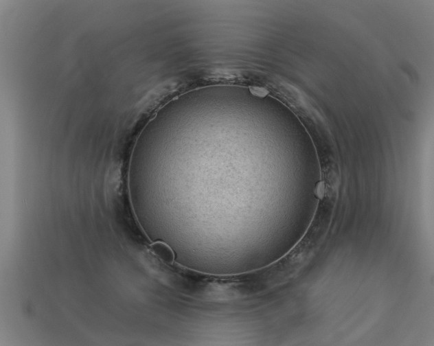 X0000113590560200909251138