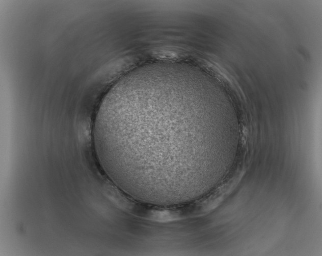 X0000113590561200909251138