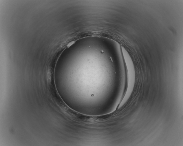 X0000113590562200909251138