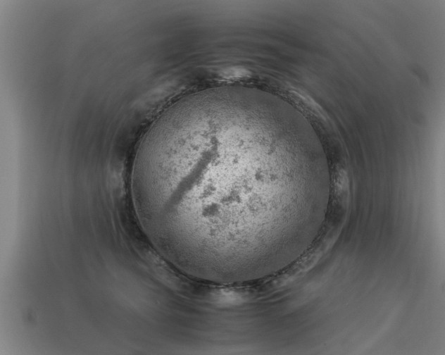 X0000113590565200909251138