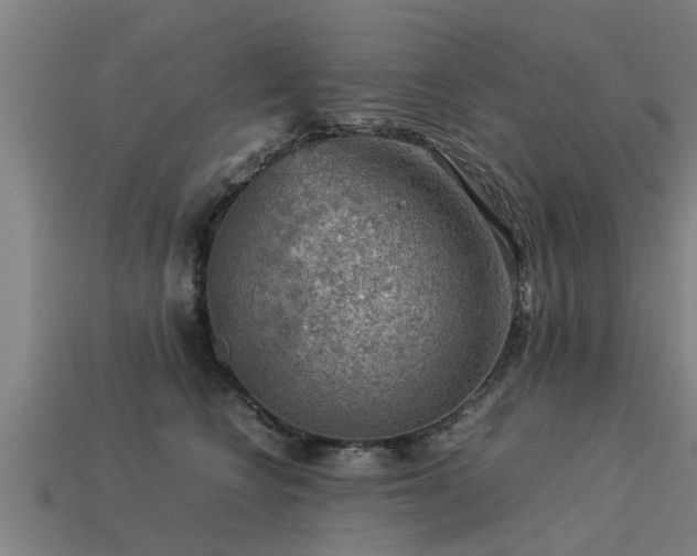 X0000113590566200909251138