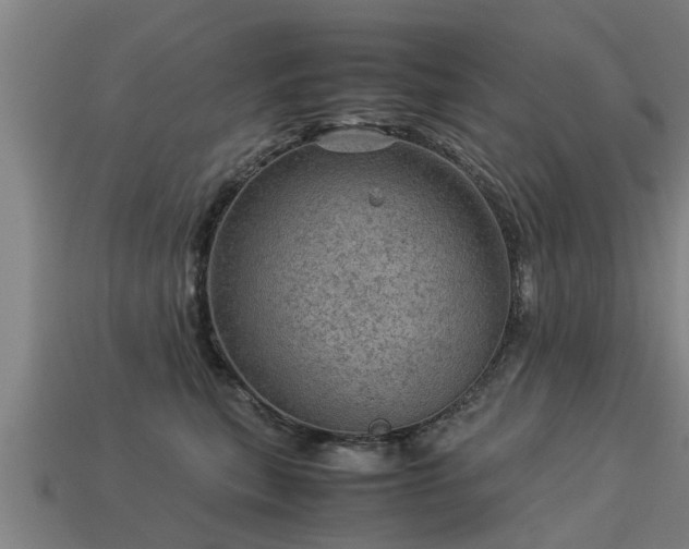 X0000113590567200909251138