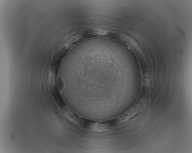 X0000113590568200909251138