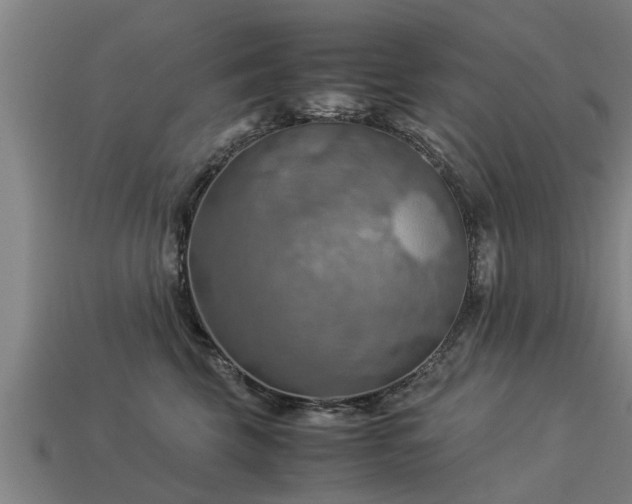 X0000113590569200909251138