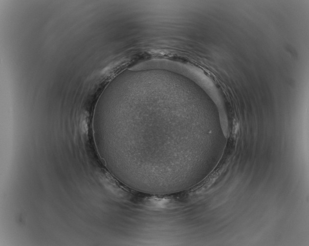 X0000113590570200909251138