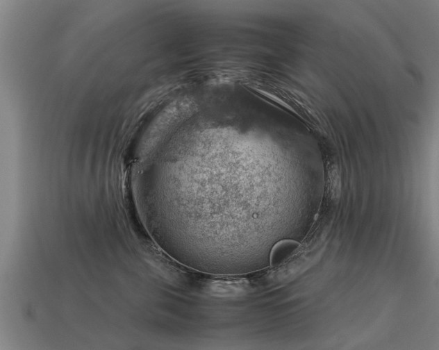 X0000113590571200909251138