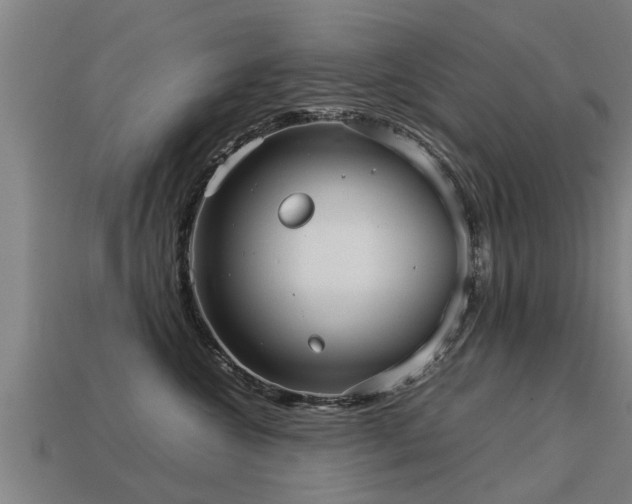 X0000113590572200909251138