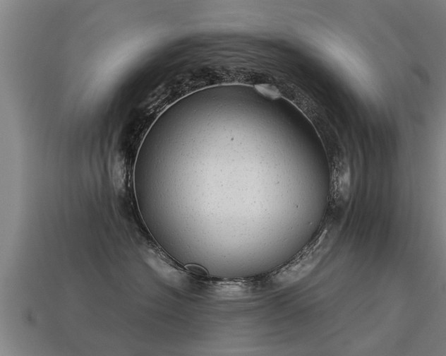 X0000113590574200909251138