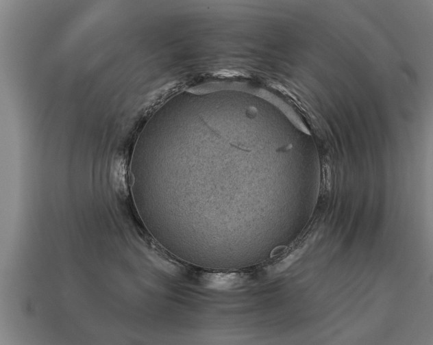 X0000113590575200909251138