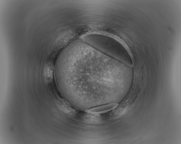 X0000113590576200909251138