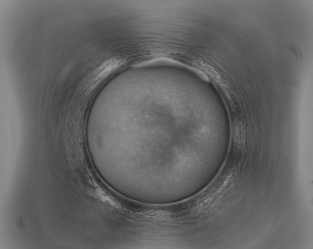 X0000113590577200909251138