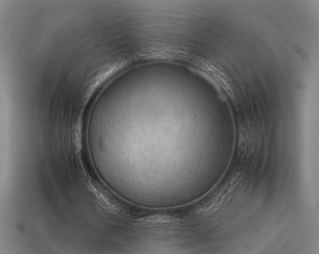 X0000113590578200909251138