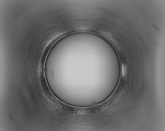 X0000113590579200909251138