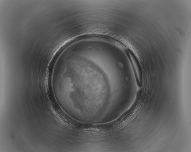 X0000113590580200909251138