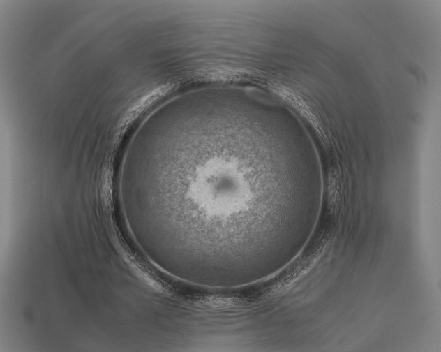 X0000113590581200909251138