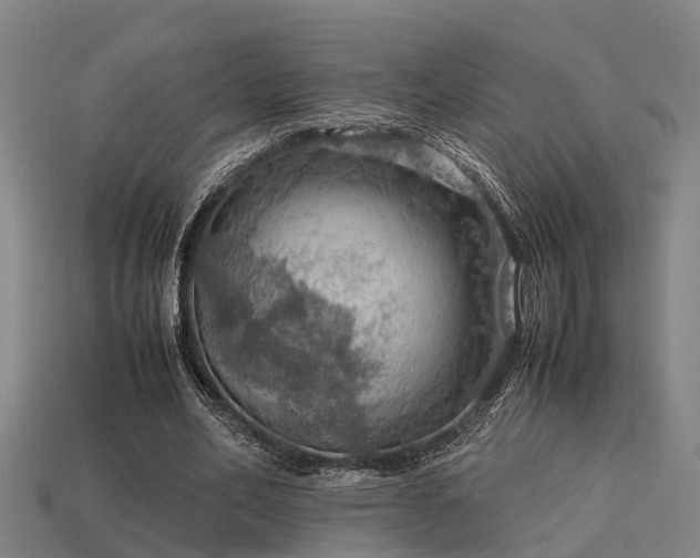 X0000113590582200909251138