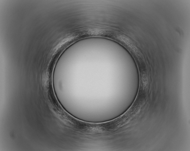 X0000113590583200909251138