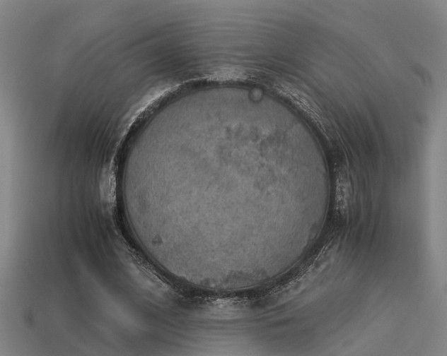 X0000113590584200909251138