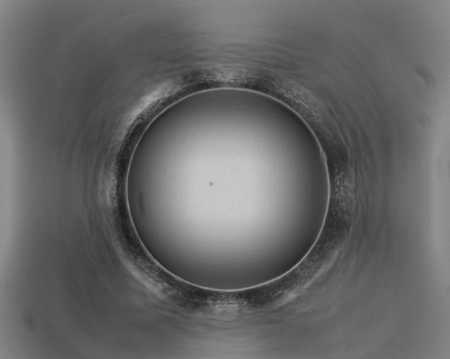 X0000113590587200909251137