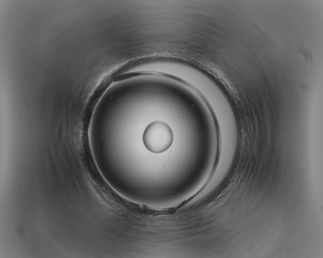 X0000113590588200909251137