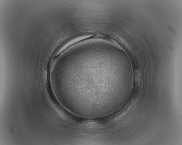 X0000113590589200909251137