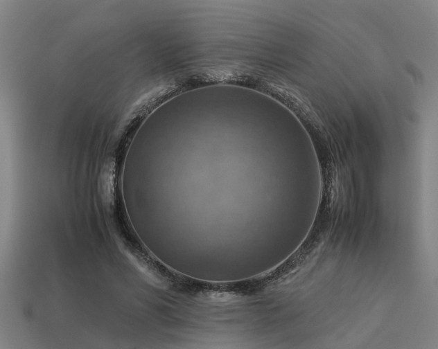 X0000113590590200909251137