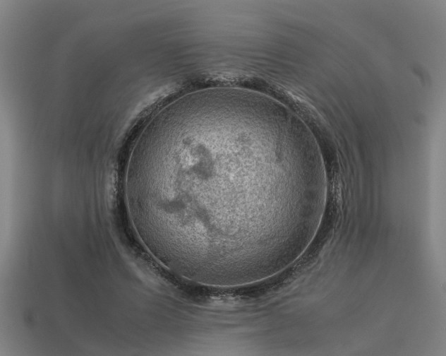 X0000113590591200909251137