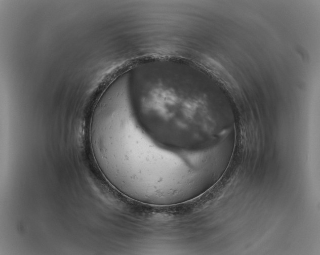 X0000113590592200909251137