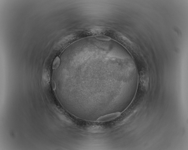 X0000113590593200909251137