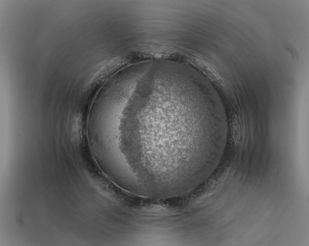 X0000113590594200909251137