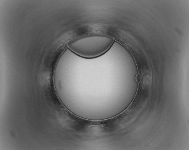 X0000113590595200909251137