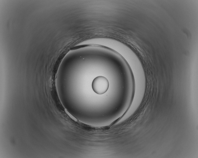 X0000113590597200909251137