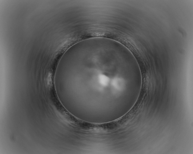 X0000113590598200909251137