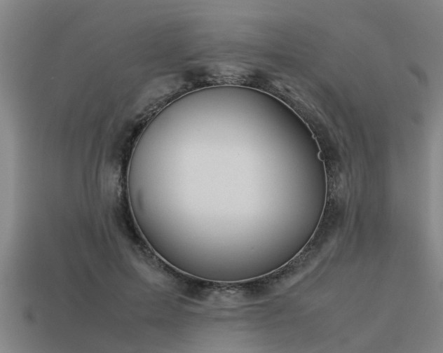 X0000113590599200909251137